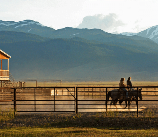 Are You Considering Investing In A California Ranch