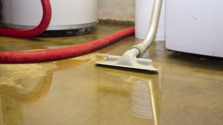 How to Find the Water Source of Your Wet Basement?