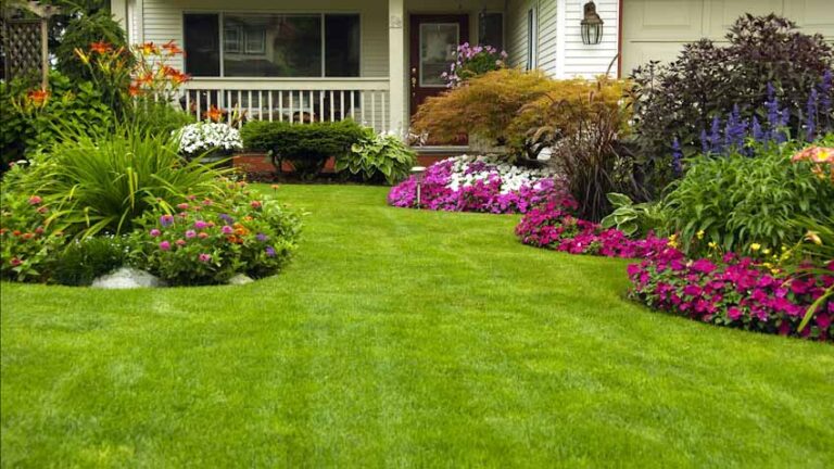 9 Tips on Maintaining the Perfect Lawn 9 Tips on Maintaining the Perfect Lawn