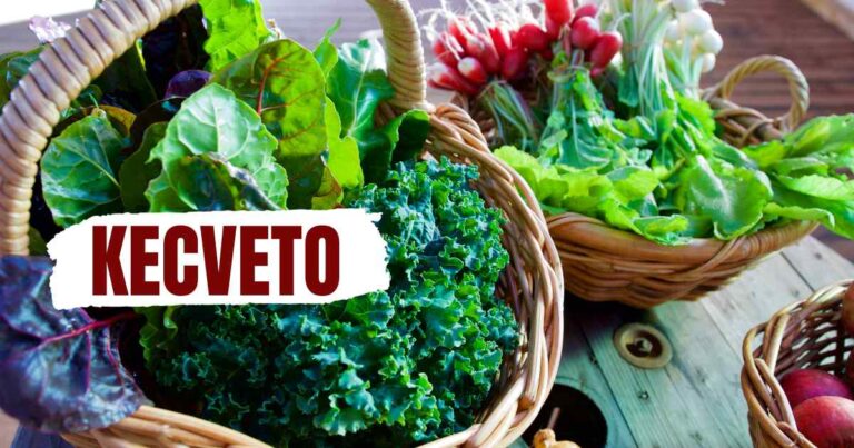 Kecveto Exploration: A Holistic Approach to Wellness