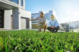 The Ultimate Guide On How To order kikuyu turf online
