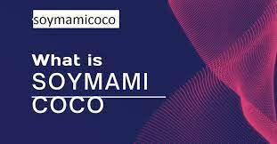 What Is Soymamicoco?