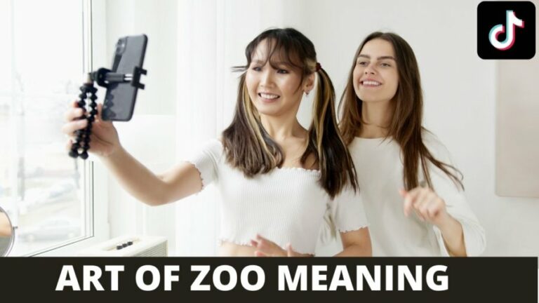 ‘Art of The Zoo’ TikTok Meaning Explained