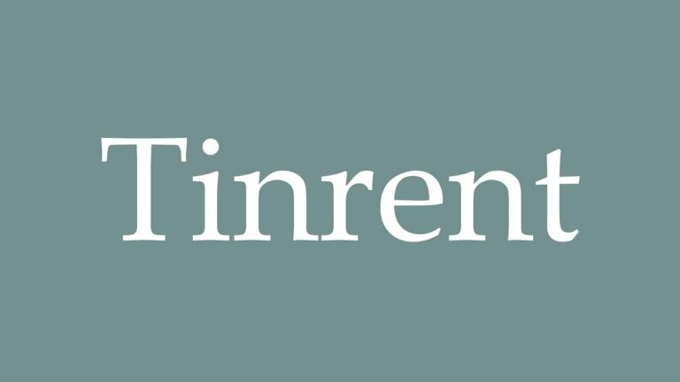 Tinrent: The Ultimate Guide